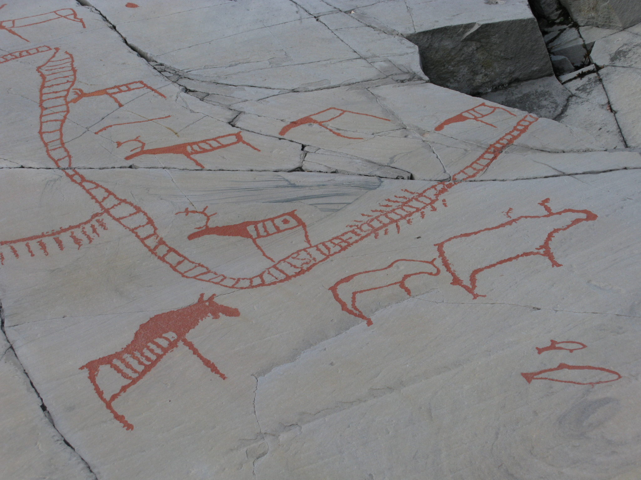 Helleristningene ved Alta Museum. Foto: Svetlana Funtusova/nordnorge.com