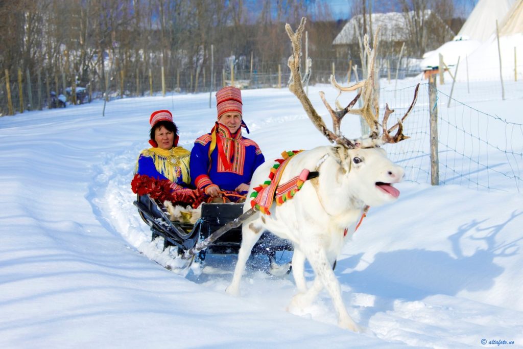 samisiidaalta samer samisk reinsdyr