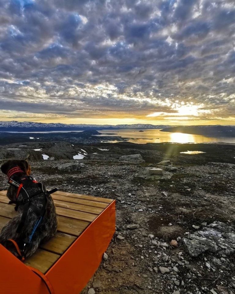 Borras Vestre @evaogbivdi