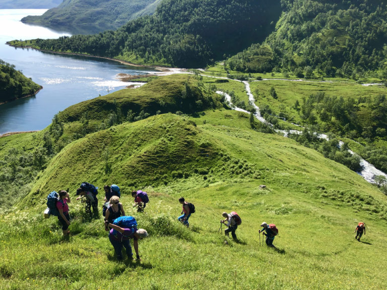 Bekkarfjord på Seiland