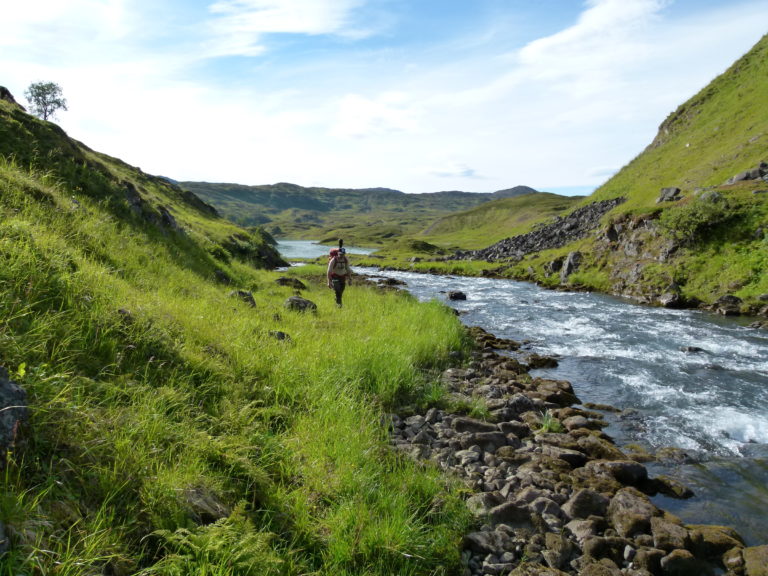 Melkelva på Seiland