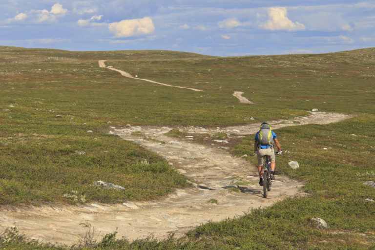 Over Finnmarksvidda går det gamle traktorspor som er perfekte sykkelspor.Foto: Jon Vidar Bull