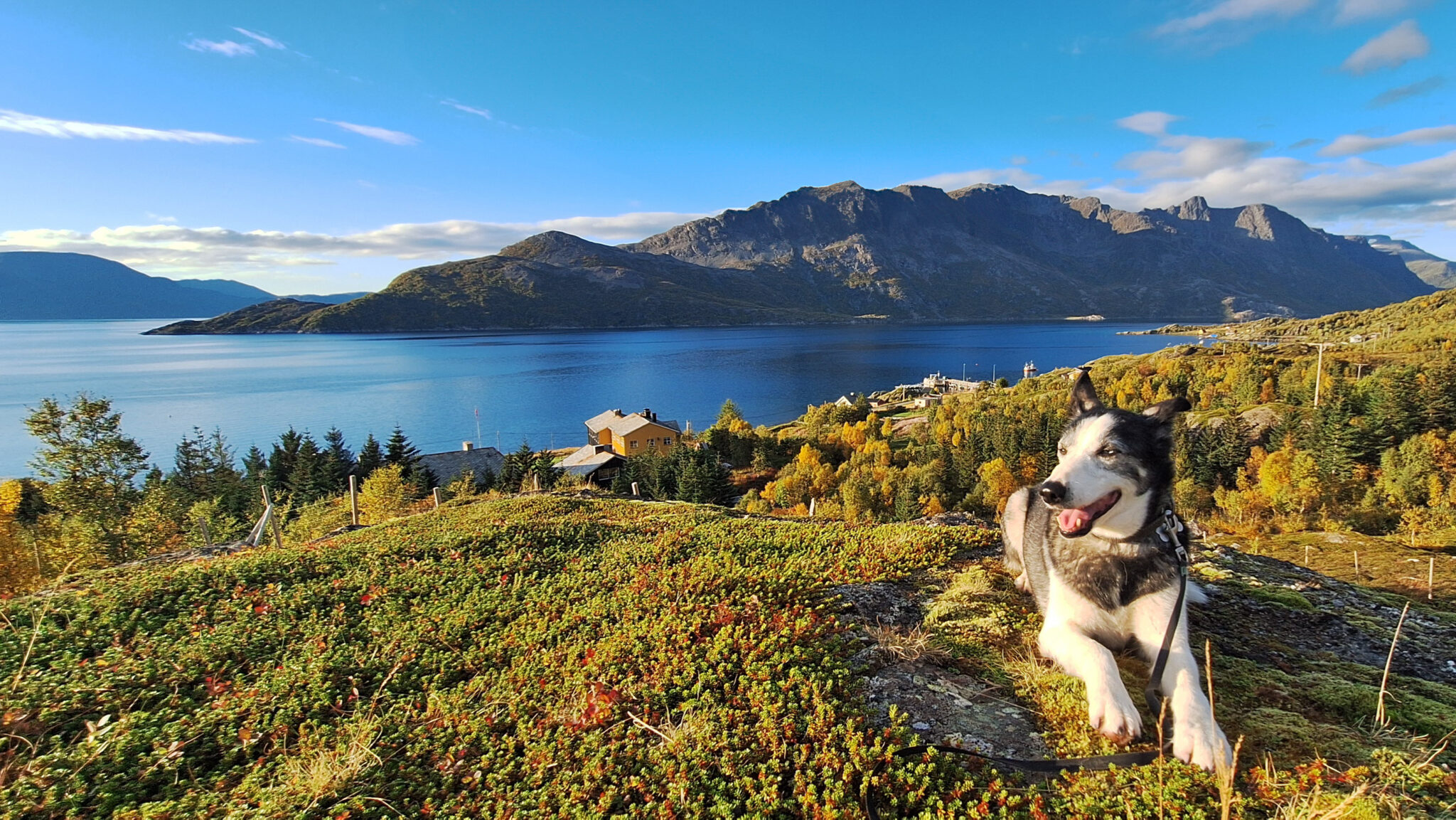 Utsikt med høstfarger. 