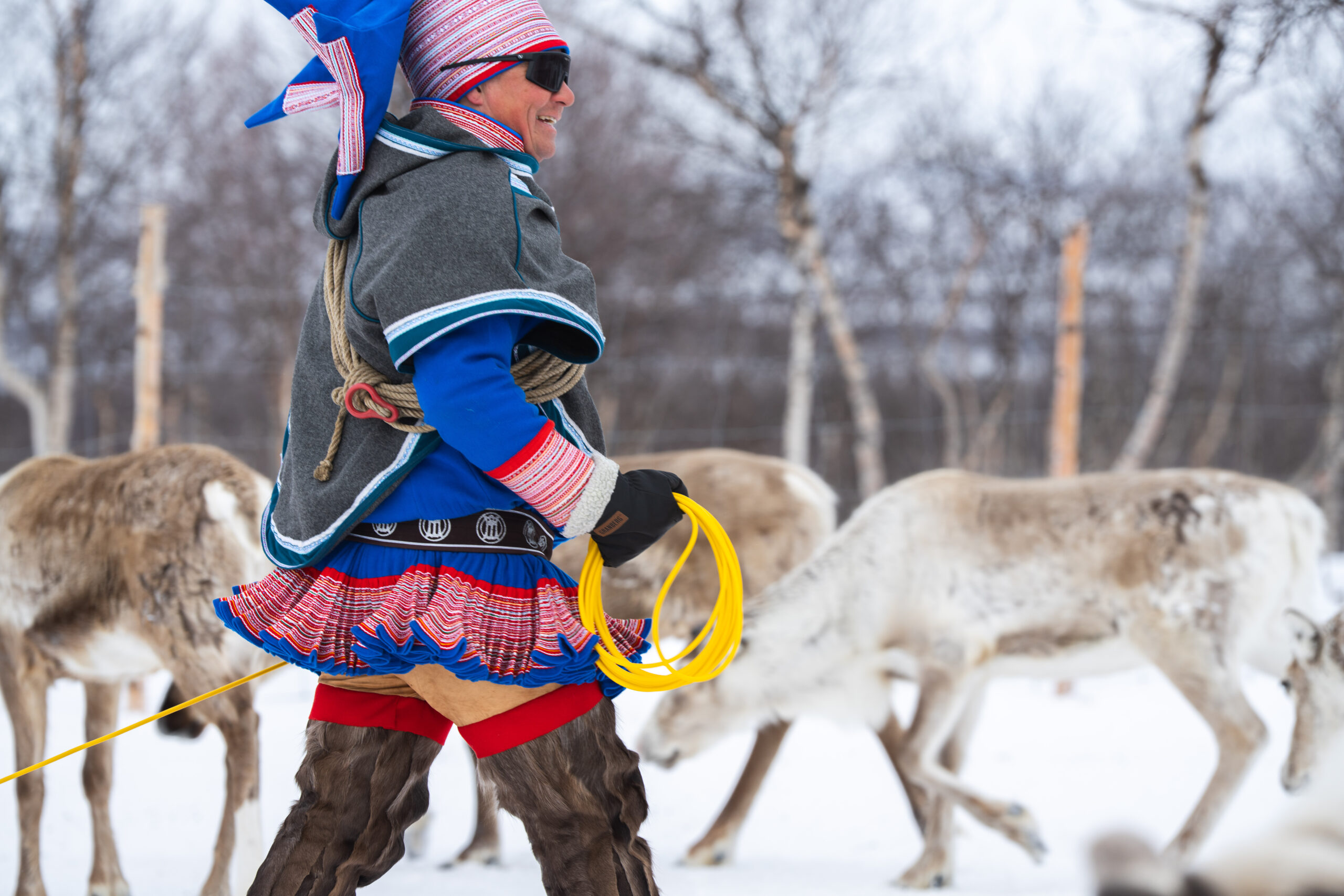 Samisk mann i kofte med rein i bakgrunn
