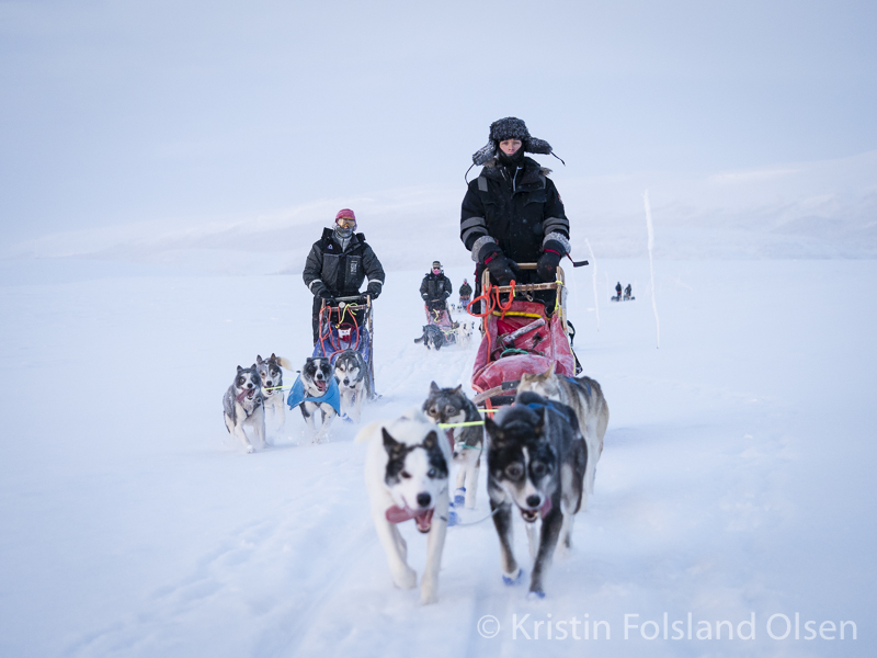 dog sledging alta trasti og trine jotka