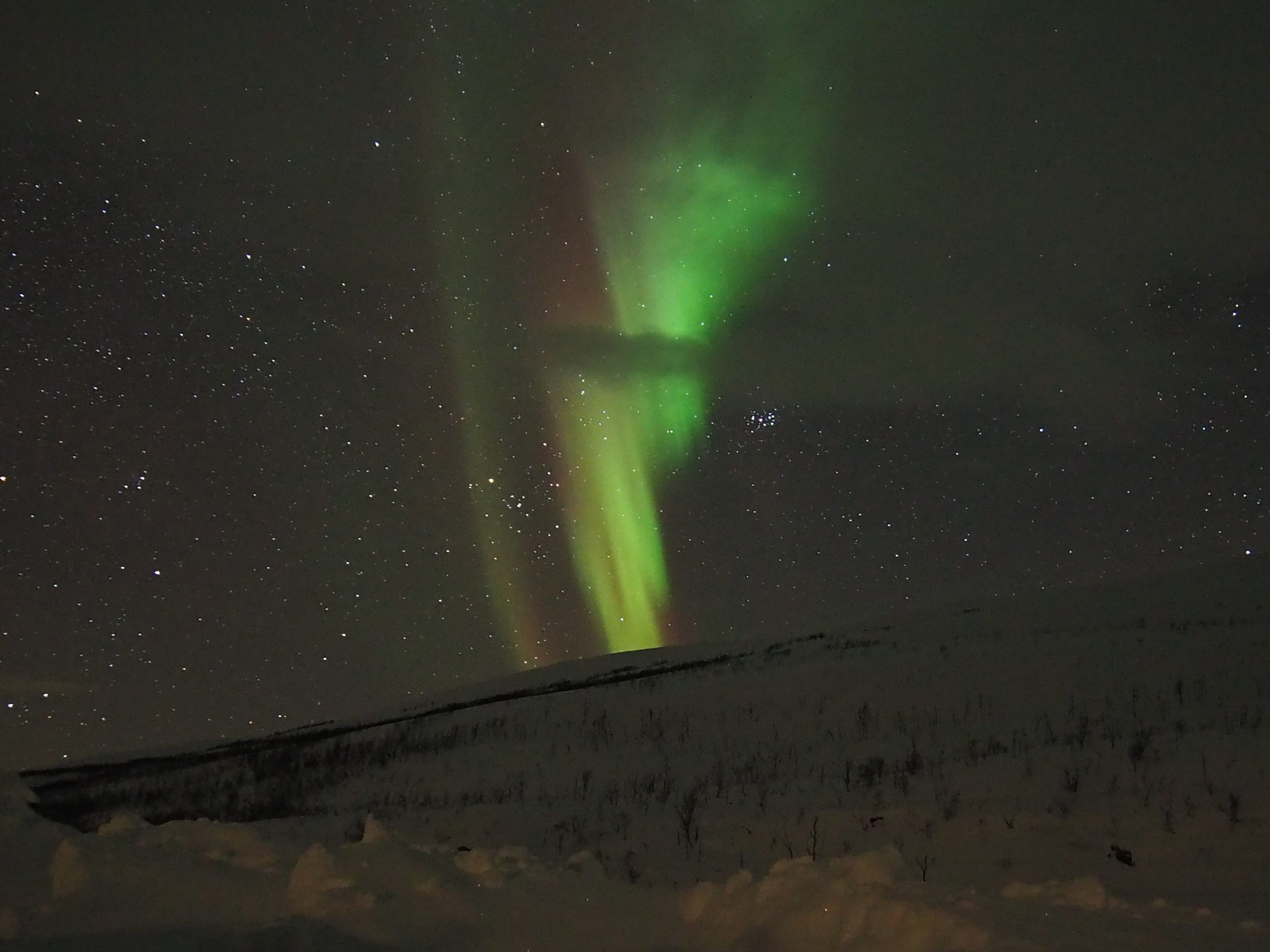 northern lights tour with alta adventure