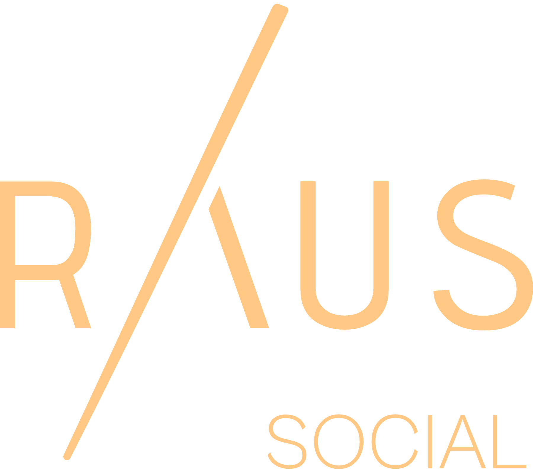 raus social logo